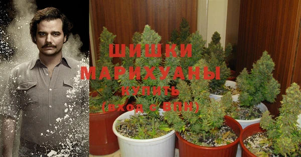 дмт Липки