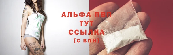дмт Липки