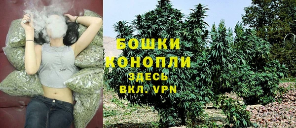 spice Лиски
