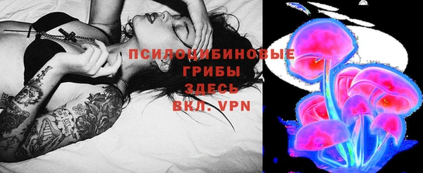 дмт Липки