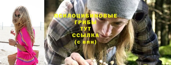 spice Лиски