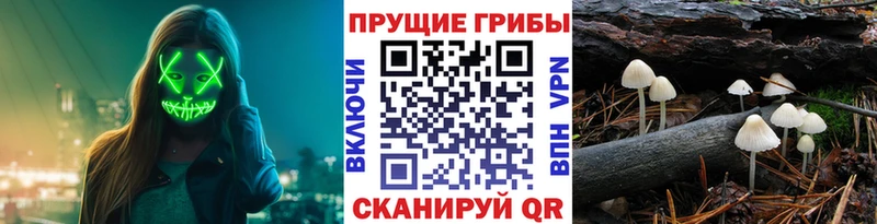 Галлюциногенные грибы мицелий  Купить закладки  Мичуринск 